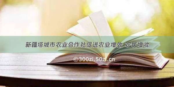 新疆塔城市农业合作社促进农业增效 农民增收