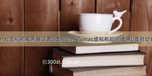 mac虚拟机服务器设置u盘启动不了 mac虚拟机如何使用u盘启动盘