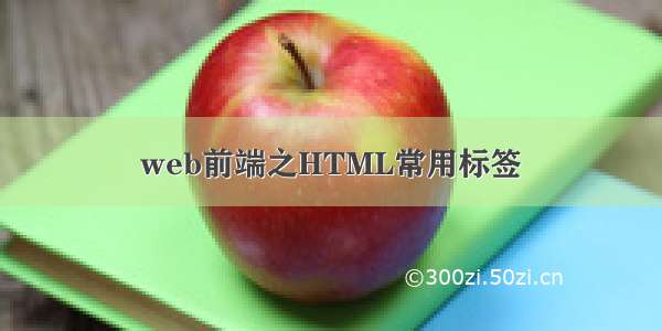 web前端之HTML常用标签