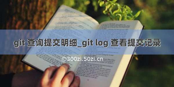 git 查询提交明细_git log 查看提交记录