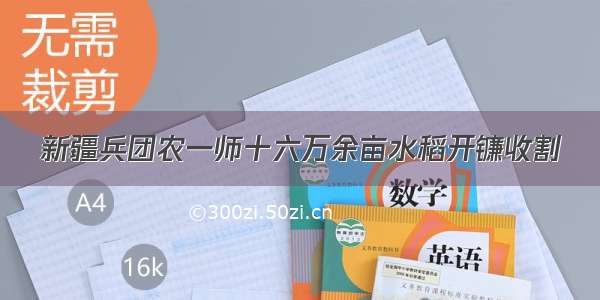 新疆兵团农一师十六万余亩水稻开镰收割