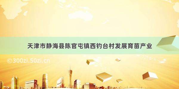 天津市静海县陈官屯镇西钓台村发展育苗产业