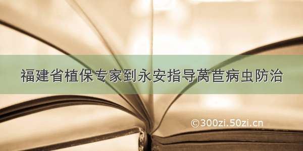 福建省植保专家到永安指导莴苣病虫防治