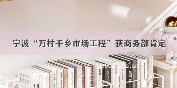 宁波“万村千乡市场工程”获商务部肯定