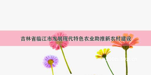 吉林省临江市发展现代特色农业助推新农村建设