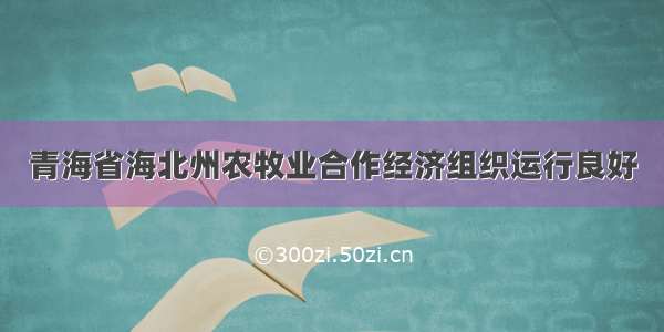 青海省海北州农牧业合作经济组织运行良好