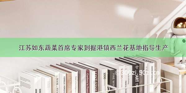 江苏如东蔬菜首席专家到掘港镇西兰花基地指导生产