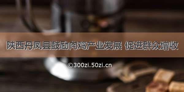 陕西丹凤县鼓励肉鸡产业发展 促进群众增收