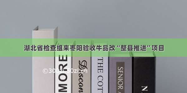 湖北省检查组来枣阳验收牛品改“整县推进”项目