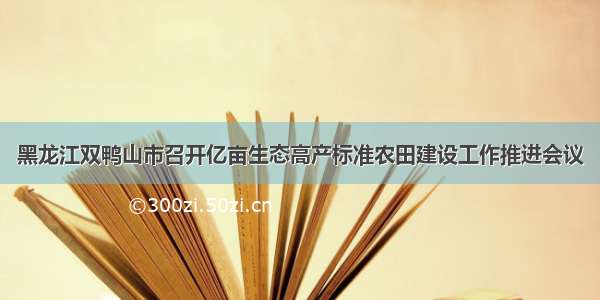 黑龙江双鸭山市召开亿亩生态高产标准农田建设工作推进会议