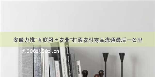 安徽力推“互联网＋农业”打通农村商品流通最后一公里