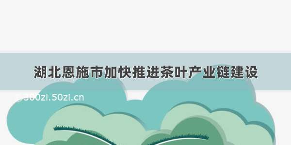 湖北恩施市加快推进茶叶产业链建设