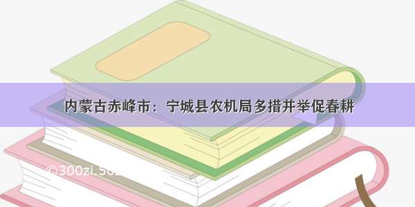 内蒙古赤峰市：宁城县农机局多措并举促春耕