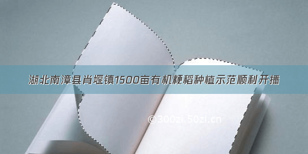 湖北南漳县肖堰镇1500亩有机粳稻种植示范顺利开播