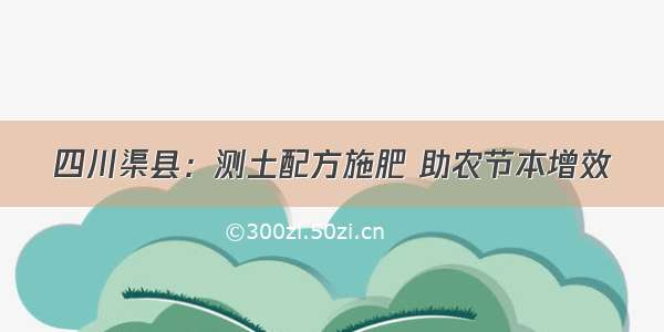 四川渠县：测土配方施肥 助农节本增效