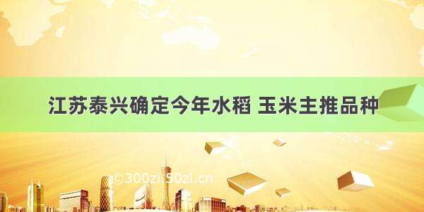 江苏泰兴确定今年水稻 玉米主推品种