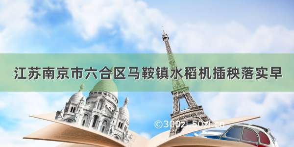 江苏南京市六合区马鞍镇水稻机插秧落实早