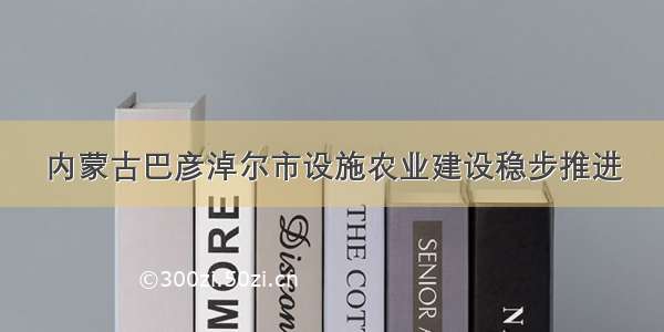 内蒙古巴彦淖尔市设施农业建设稳步推进