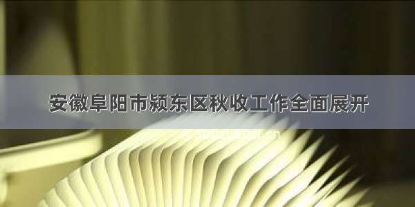 安徽阜阳市颍东区秋收工作全面展开