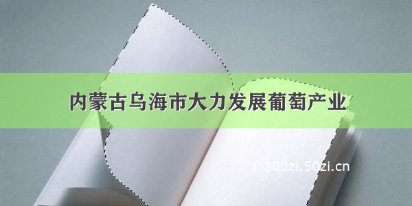 内蒙古乌海市大力发展葡萄产业