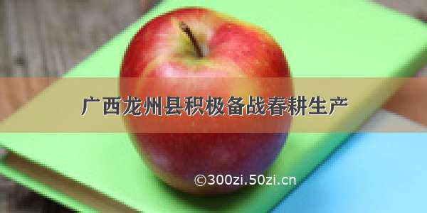 广西龙州县积极备战春耕生产