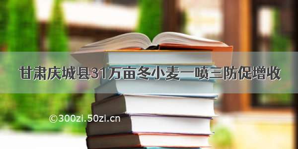 甘肃庆城县31万亩冬小麦一喷三防促增收