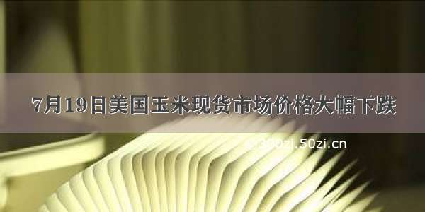 7月19日美国玉米现货市场价格大幅下跌