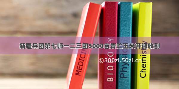 新疆兵团第七师一二三团5000亩青贮玉米开镰收割