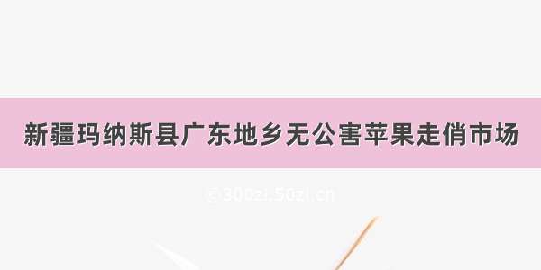 新疆玛纳斯县广东地乡无公害苹果走俏市场