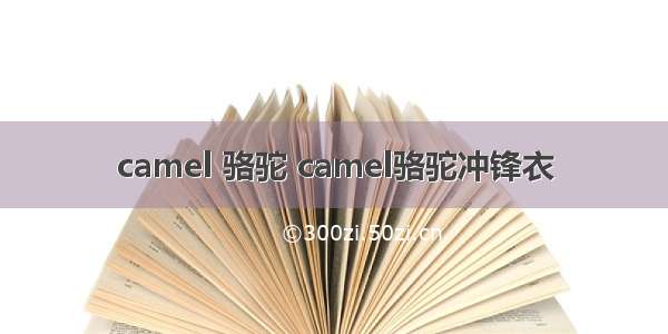 camel 骆驼 camel骆驼冲锋衣