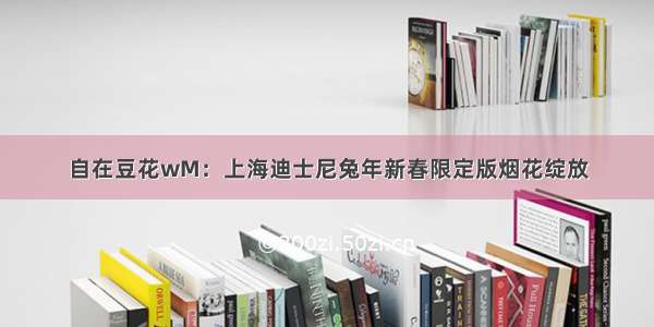 自在豆花wM：上海迪士尼兔年新春限定版烟花绽放