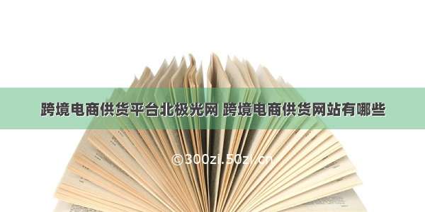 跨境电商供货平台北极光网 跨境电商供货网站有哪些