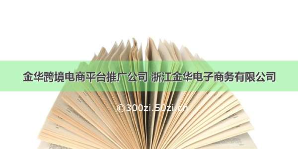 金华跨境电商平台推广公司 浙江金华电子商务有限公司