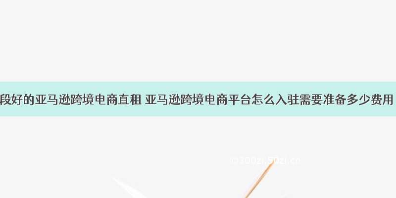 地段好的亚马逊跨境电商直租 亚马逊跨境电商平台怎么入驻需要准备多少费用