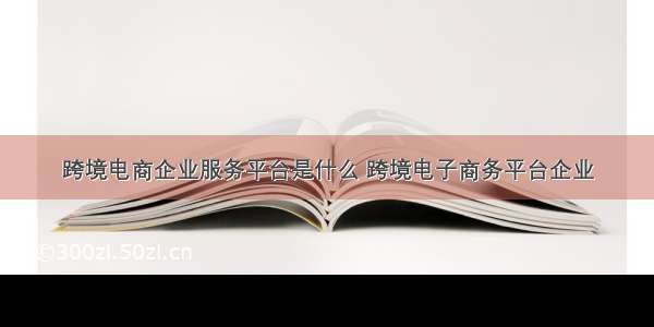 跨境电商企业服务平台是什么 跨境电子商务平台企业