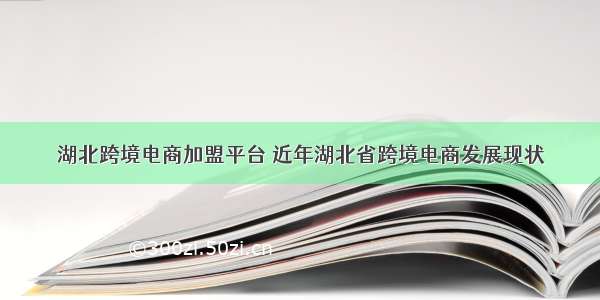 湖北跨境电商加盟平台 近年湖北省跨境电商发展现状