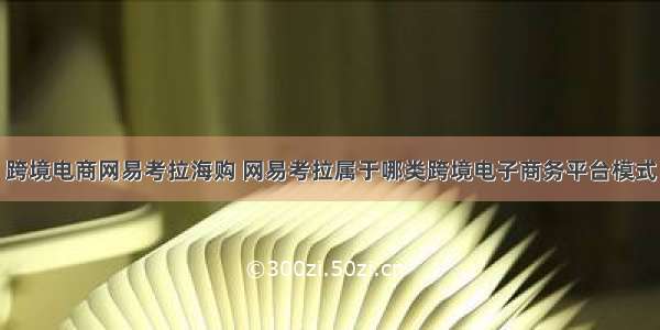 跨境电商网易考拉海购 网易考拉属于哪类跨境电子商务平台模式