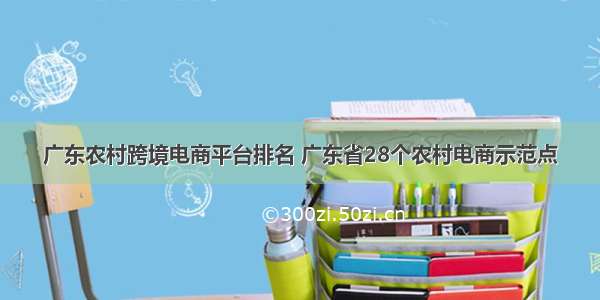 广东农村跨境电商平台排名 广东省28个农村电商示范点