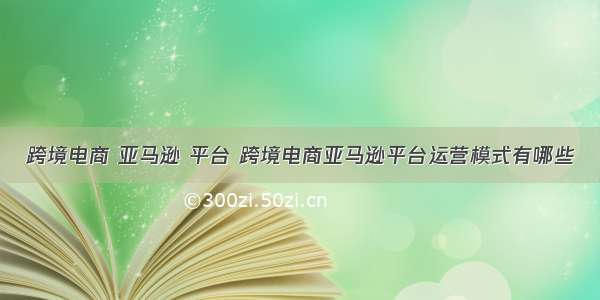 跨境电商 亚马逊 平台 跨境电商亚马逊平台运营模式有哪些