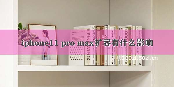 iphone11 pro max扩容有什么影响