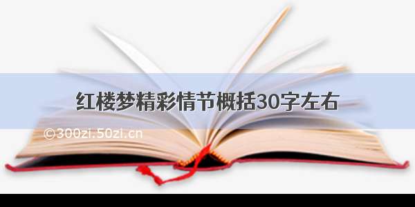 红楼梦精彩情节概括30字左右