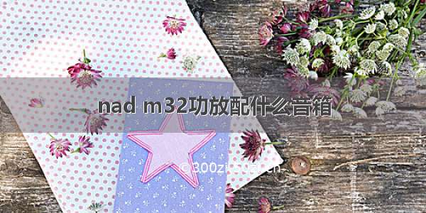 nad m32功放配什么音箱