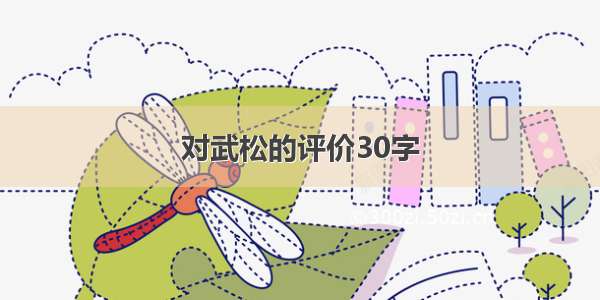 对武松的评价30字