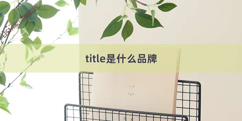 title是什么品牌