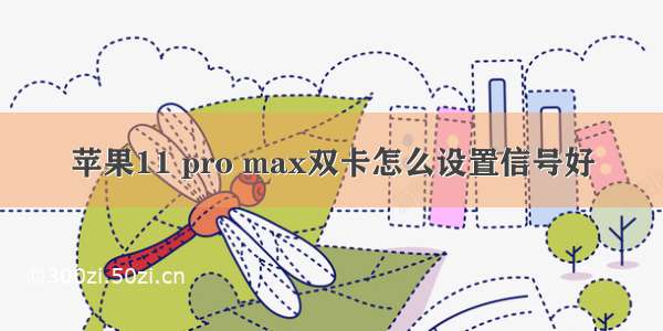 苹果11 pro max双卡怎么设置信号好