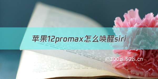 苹果12promax怎么唤醒siri