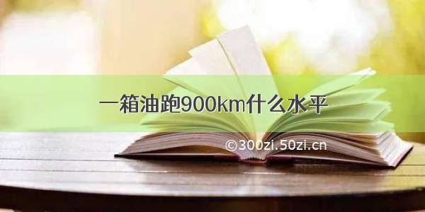 一箱油跑900km什么水平