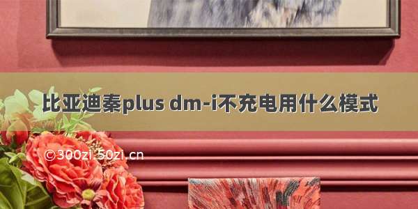 比亚迪秦plus dm-i不充电用什么模式