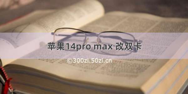 苹果14pro max 改双卡