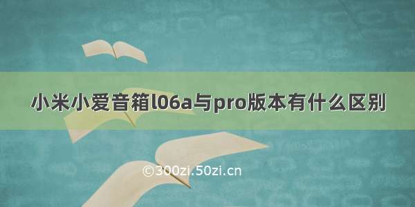 小米小爱音箱l06a与pro版本有什么区别